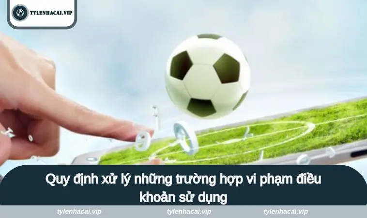 dieu khoan su dung 4 Quy định xử lý những trường hợp vi phạm điều khoản sử dụng